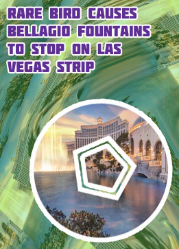 Latest news hotel bellagio las vegas
